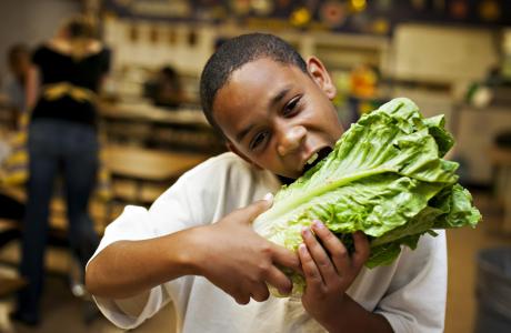 Kid eating lettuce