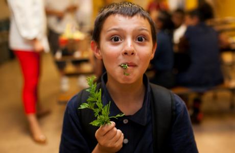 Food Literacy Center – inspiring kids to eat their veggies!