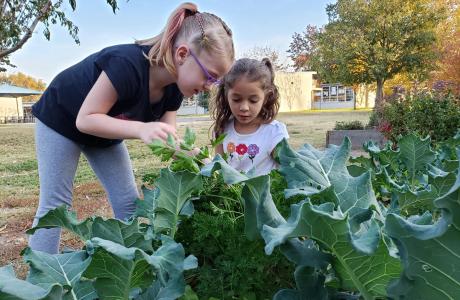 Kids in the garden