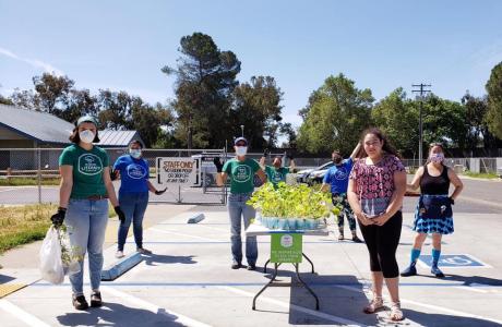 Volunteers hand out tomato plants