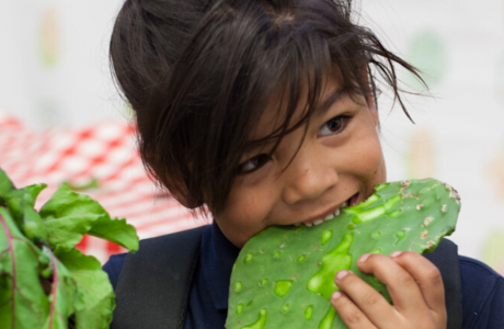 Kid eating cactus