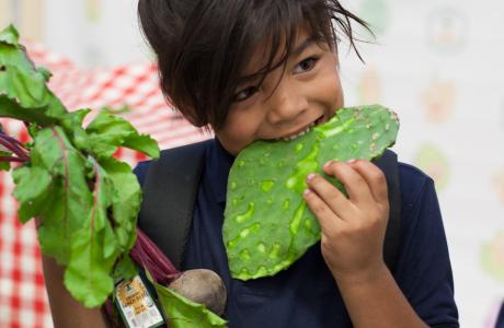 Kid eating cactus