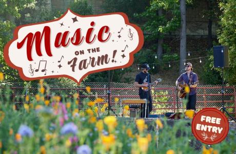 Flowers bloom in the foreground as two musicians perform in the distance.
