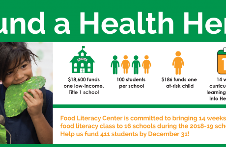 Fund a Health Hero graphic