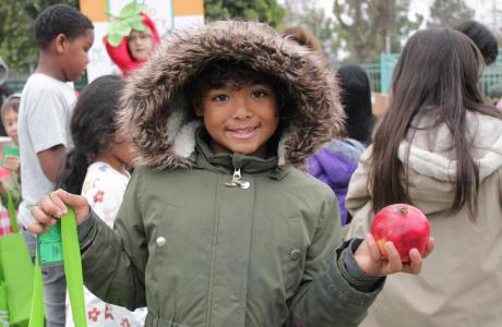 Students holding pomegranate