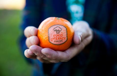 Hands holding an orange