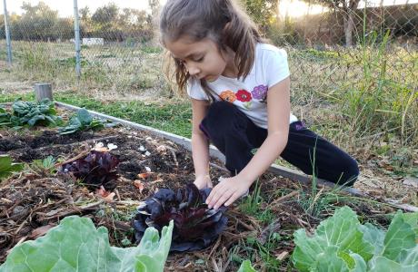 Girl gardening