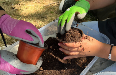Kids planting