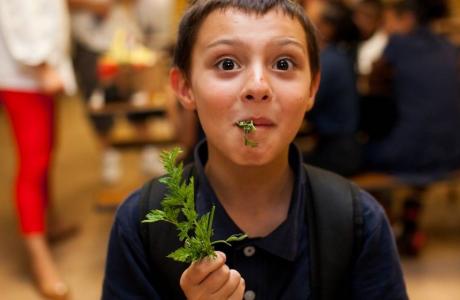 Matthew Castaneda tastes carrot tops for the first time. Photo Marita Madeloni