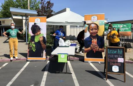 Veggie STEM Box distribution