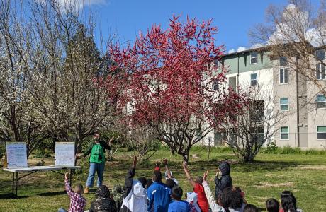 students and food literacy staff in school garden with blue skies learning lessons