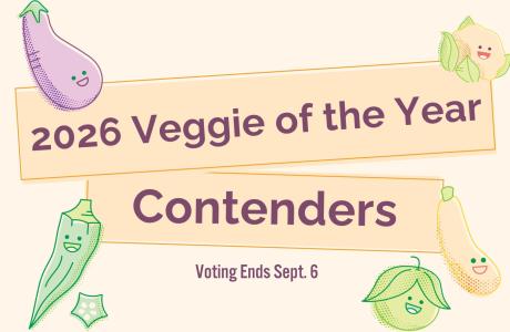 Graphic featuring illustrations of eggplant, cauliflower, okra, tomatillo, and squash. Text reads: “2026 Veggie of the Year Contenders. Voting ends September 6.