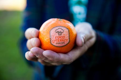 Hands holding an orange