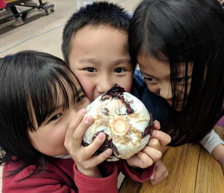 Kids with radicchio