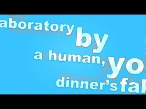 Great Food Movement Rock Song