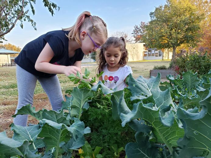 Kids in the garden