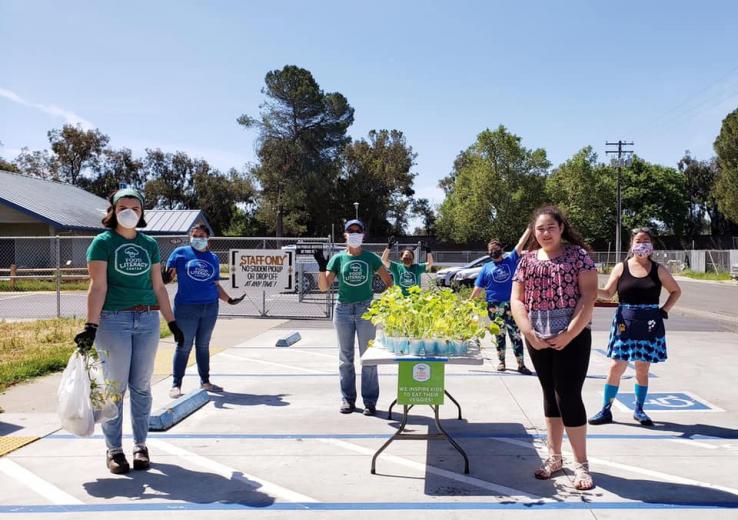 Volunteers hand out tomato plants