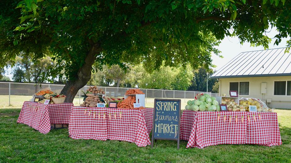 Farmers market