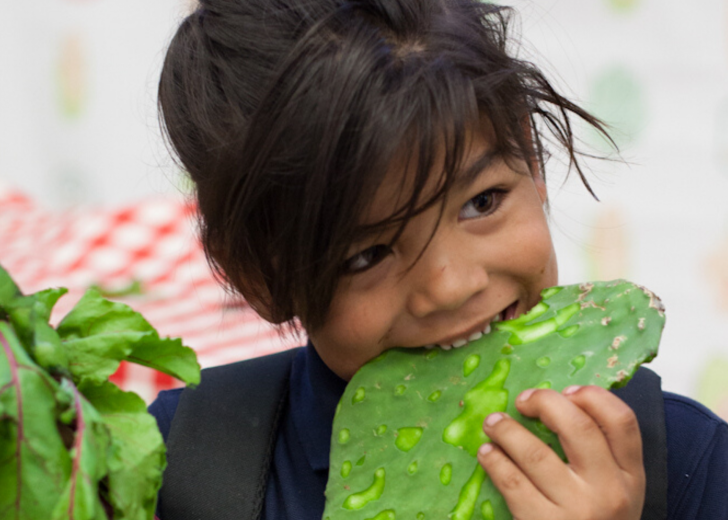 Kid eating cactus