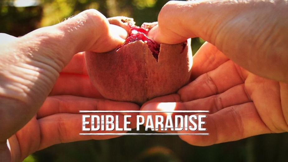 Edible Paradise graphic