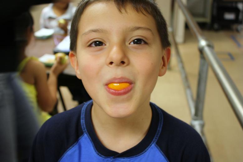 Food Literacy Student, Matthew