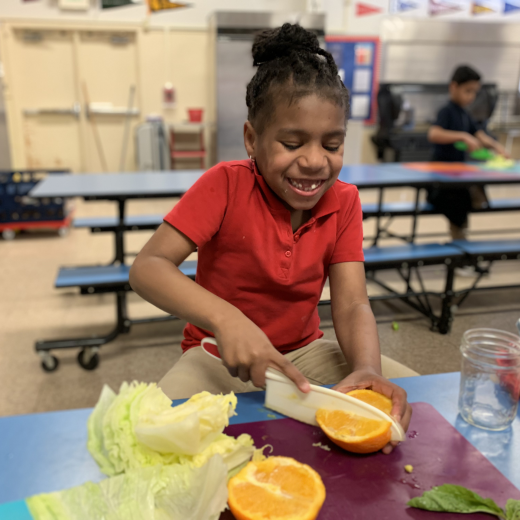 Girl cutting oranges