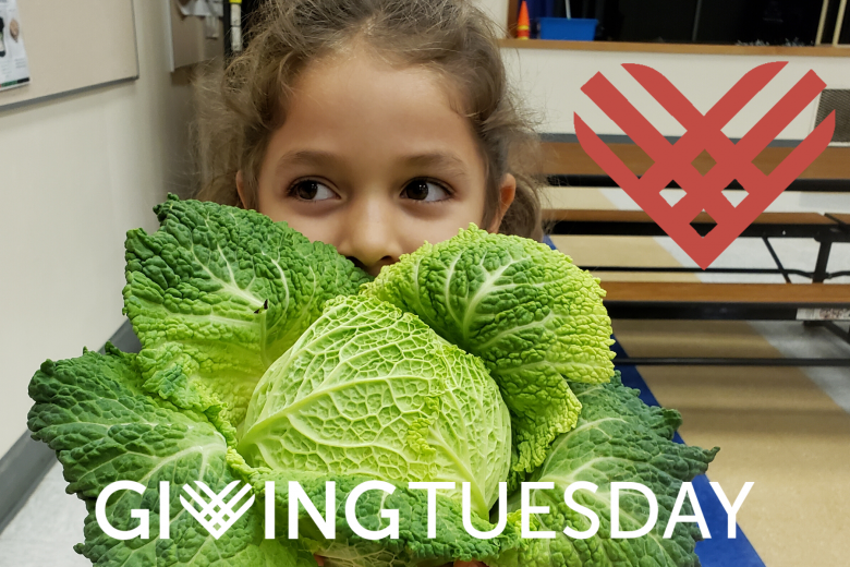 Giving Tuesday Graphic