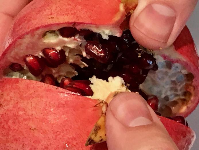 Opening a pomegranate