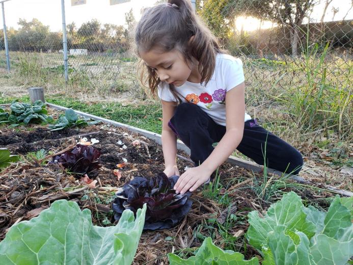 Girl gardening