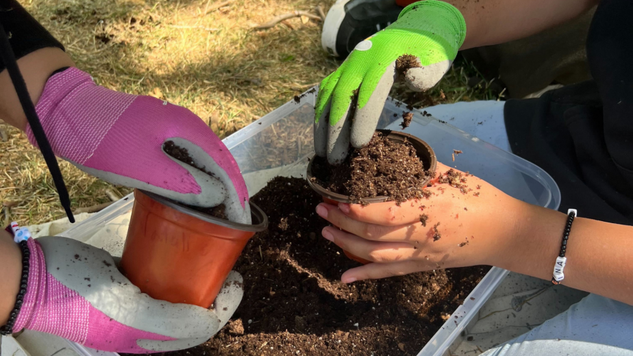 Kids planting