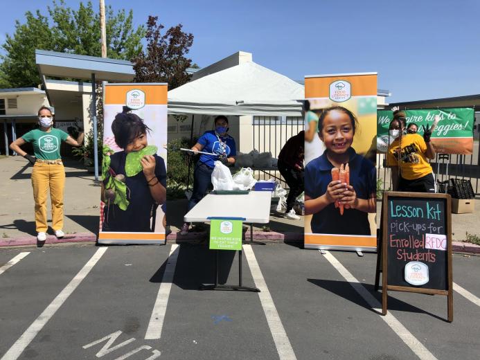 Veggie STEM Box distribution