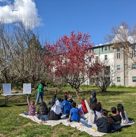 students and food literacy staff in school garden with blue skies learning lessons