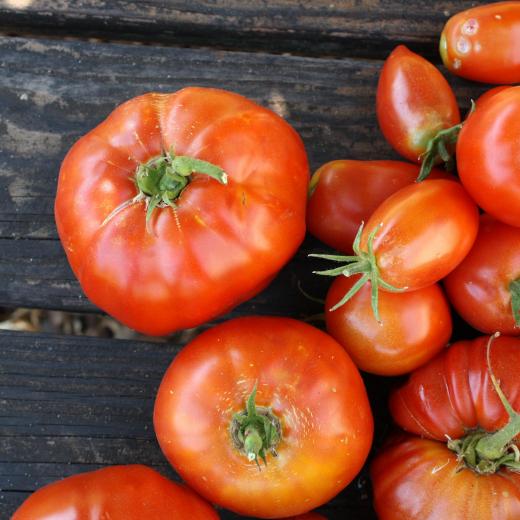 Tomatoes