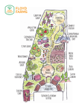 Urban Farm & Garden Sketch