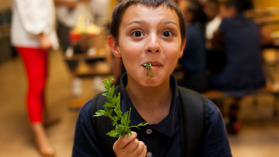Food Literacy Center – inspiring kids to eat their veggies!